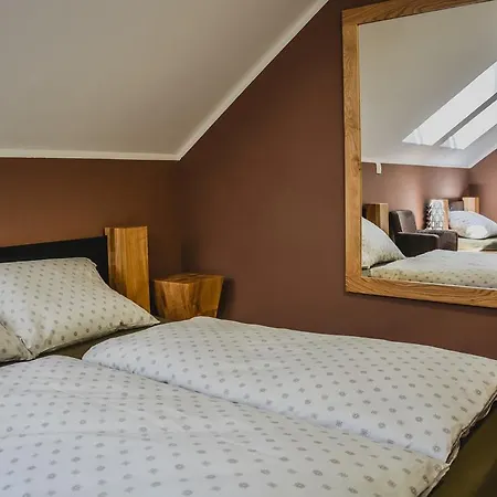 ゲストハウス Ta Fabrika Restavracija,pizzerija In Prenocisca 3*